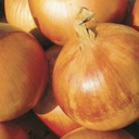 Seed Onion Gladalan Brwn 500g Terranova 