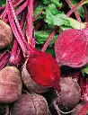 Seed Beetroot Detroit Red Globe 5.131g MFG2215