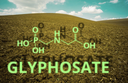 Glyphosate 450 Acid 20lt