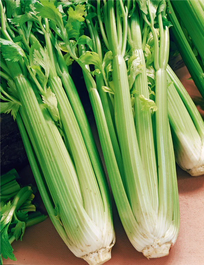 Seed Celery Tall Utah 0.1g MFG2305