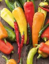 Seed Chilli Hot Mix 0.5g MFG2323