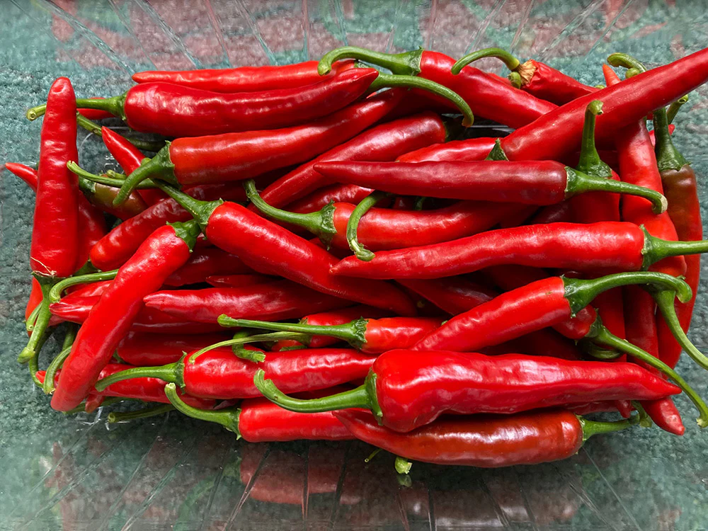 Seed Pepper Hot Chilli 0.25g MFG2222