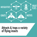 Insect Light Trap Spare Glue Board Small