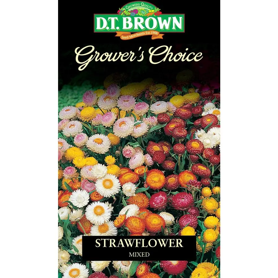 Seed Mr Fothergill Strawflower Mixed 0.224g #2351