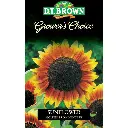 Seed Mr Fothergill Sunflower Gold Prominence 2g #2353