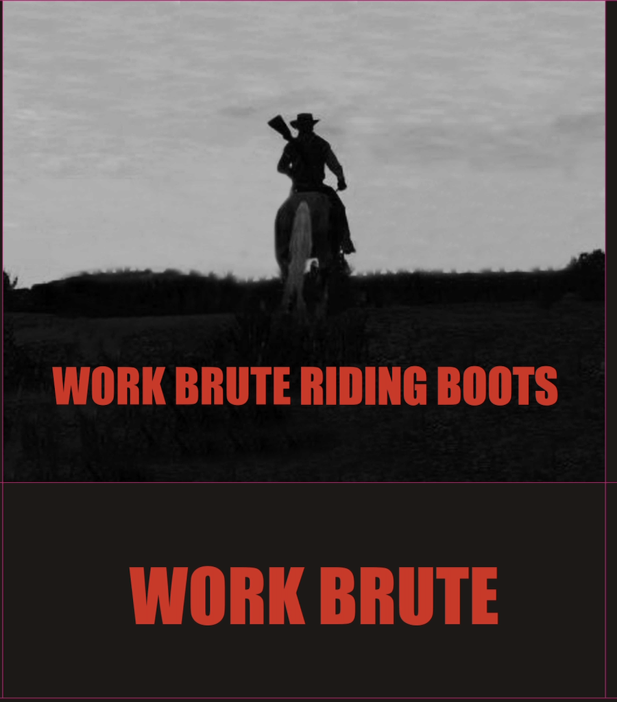 Boots Outlaw Brown Sz12