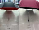 Umbrella Premium Quality  WX01