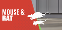 Rat Trap Glue Tin Tomcat 300g