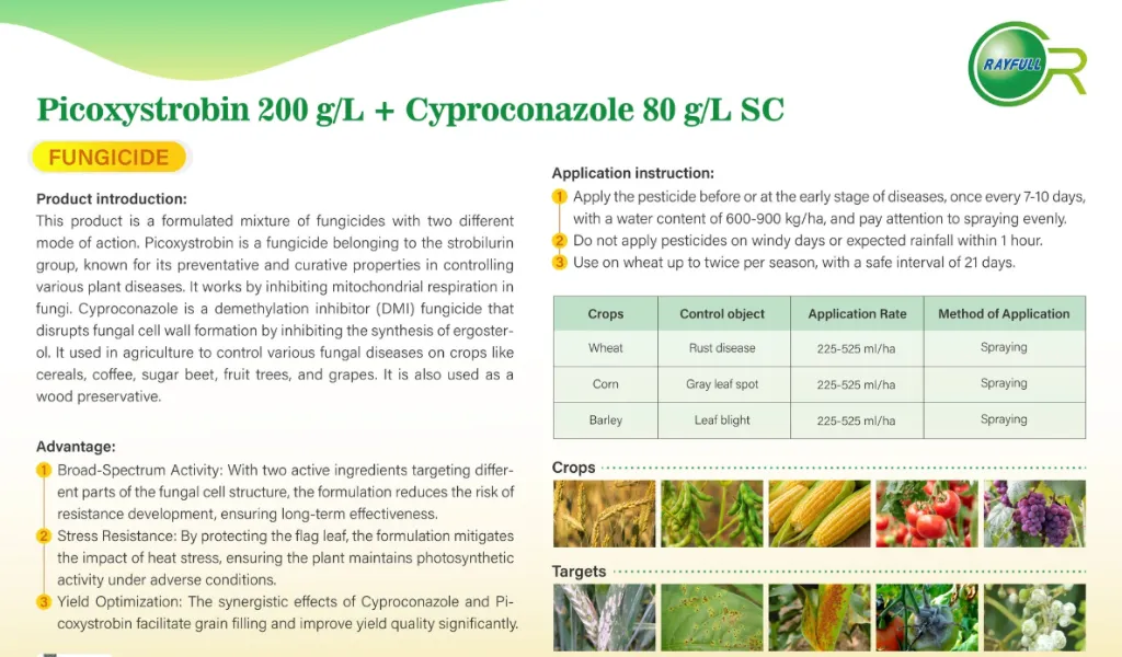 Screenshot 2026-05-15 at 10.01.00 am.webp