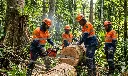image_1296e391 (1).webp