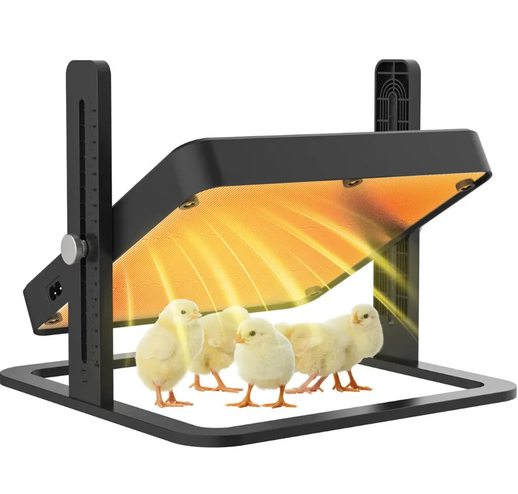 Chick Heating Plate Brooder.png