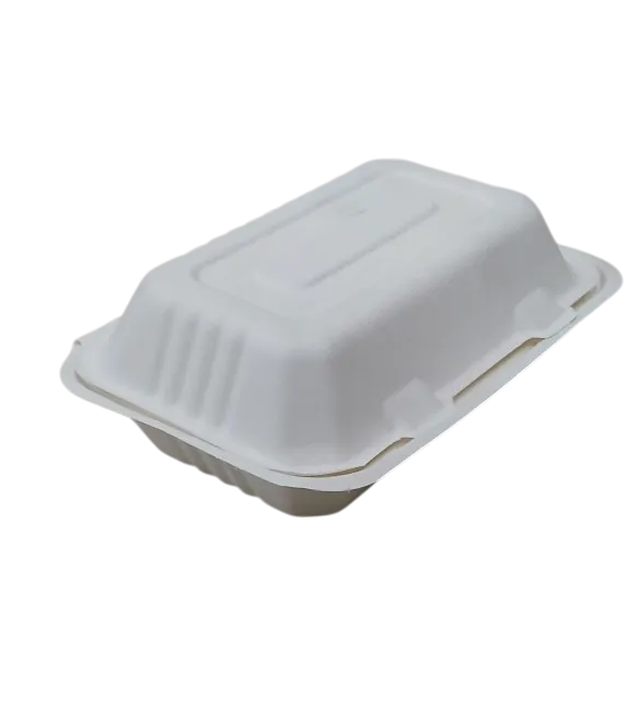 Disposal Meal Box 2604-9''*6''