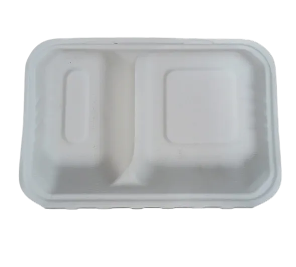 Disposal Meal Box 2604-9''*6''