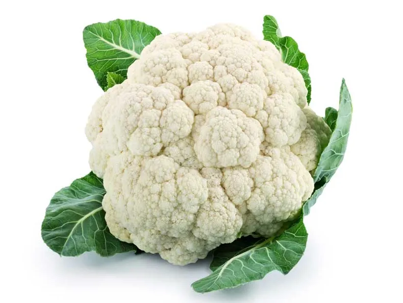 Seed Terranova Cauliflower Sel 174 50grams