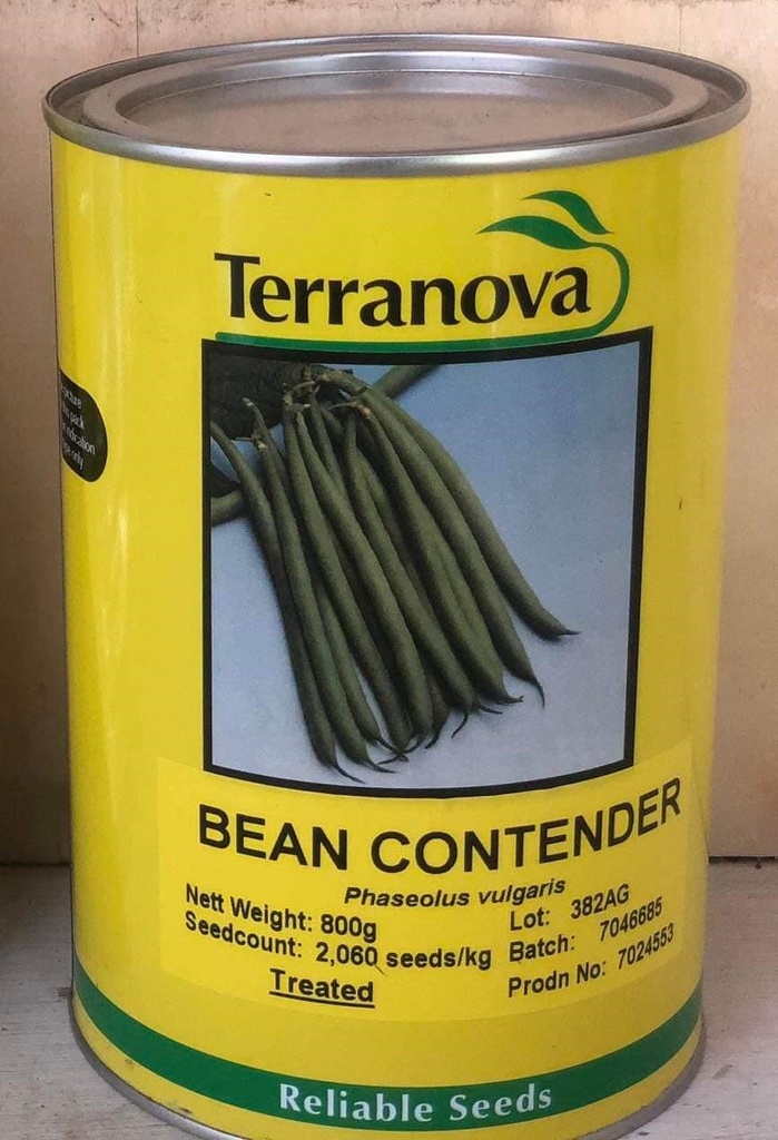  Seed Terranova Bean Contender 800g 