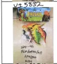 Dinosaur Toy 6pcs