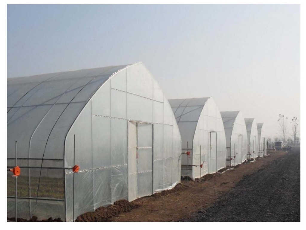 [PB1026] Greenhouse Kit Drying+Grow Shed 200m2