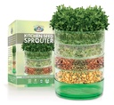  Seed Mr Fothergill'sl Kitchen Sprouter Propag.# 1403