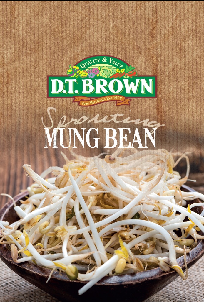  Seed Mr Fothergill'sl Bean Mung Sprouts 50g #2318