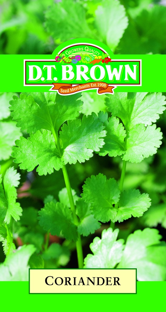 [SD0322]  Seed Mr Fothergill'sl Coriander 1.13g #2706