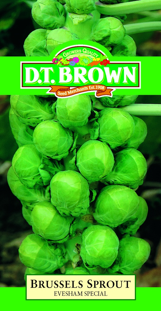 Seed Mr Fothergill'sl Evesham Brussels Sprt 1.968g #2021
