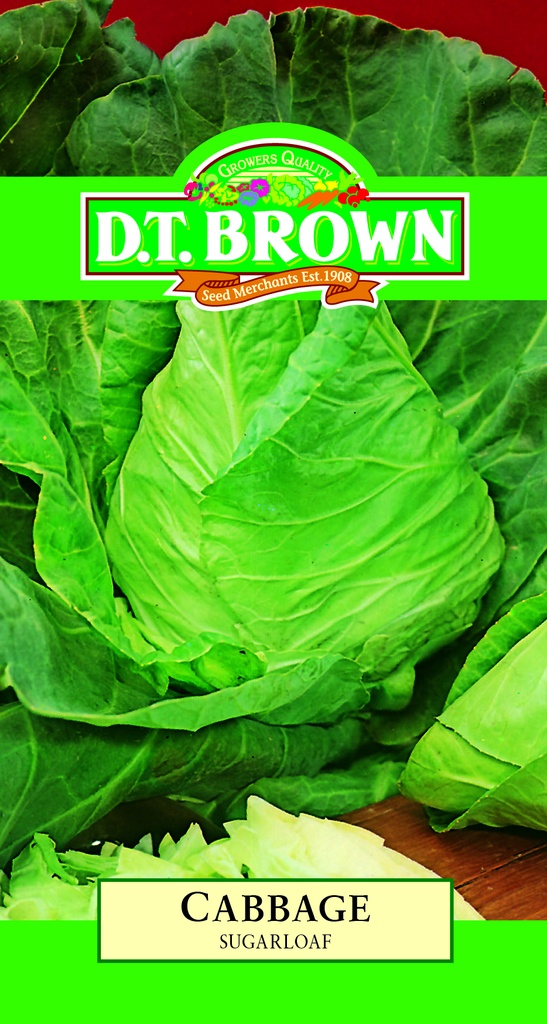 [SD0331] Seed Mr Fothergill'sl Cabbage Sugarloaf 2.173g #2216