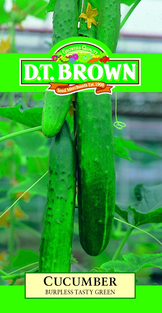  Seed Mr Fothergill'sl Cucumber B/less Tasty 0.312g #2095