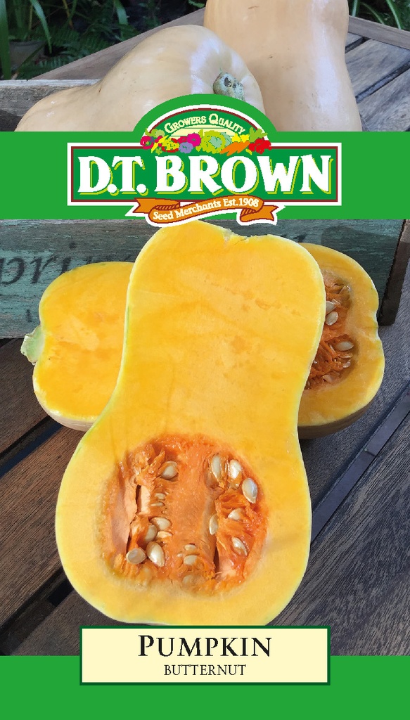 Seed Mr Fothergill'sl Pumkin Butternut 2.825g #2233