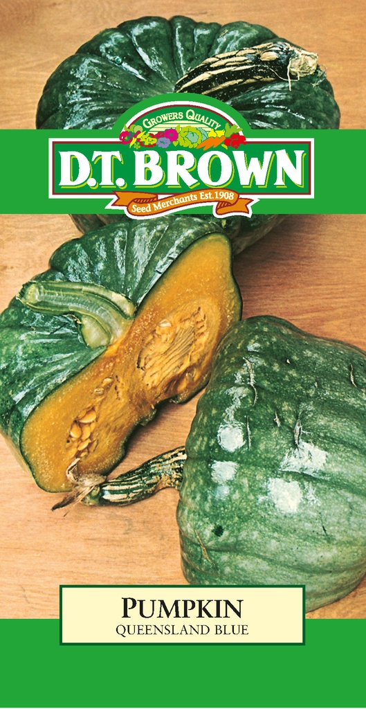 Seed Mr Fothergill'sl Pumkin QLD Blue 2.825g #2234