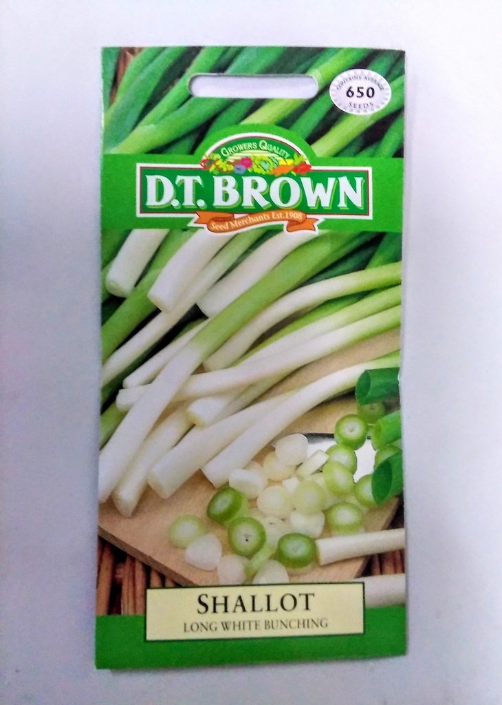  Seed Mr Fothergill'sl Shallot Longwht Bunching 2.479g #2073