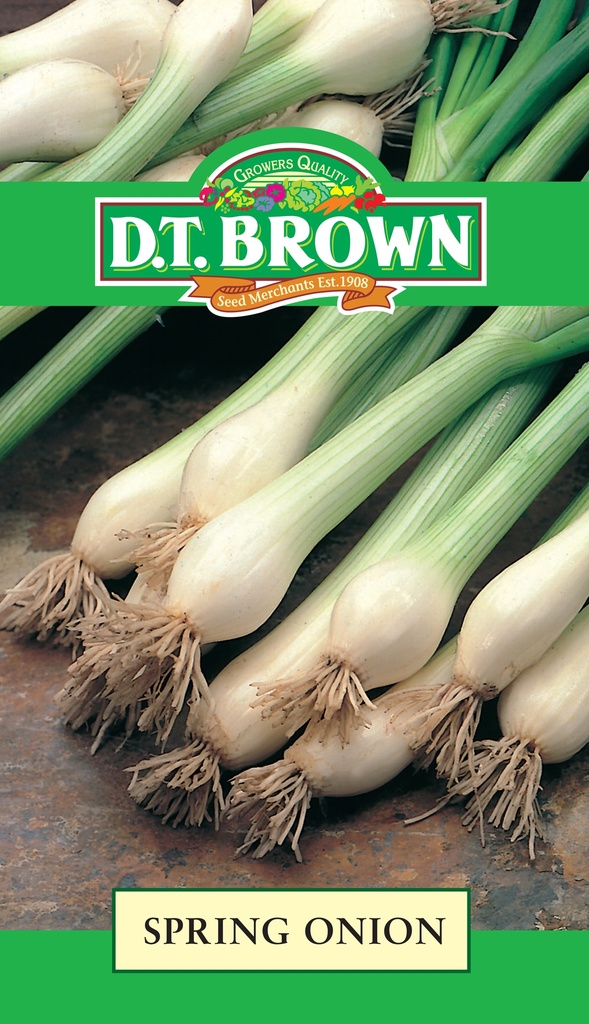 Seed Mr Fothergill'sl Onion Spring 2.435g #2228