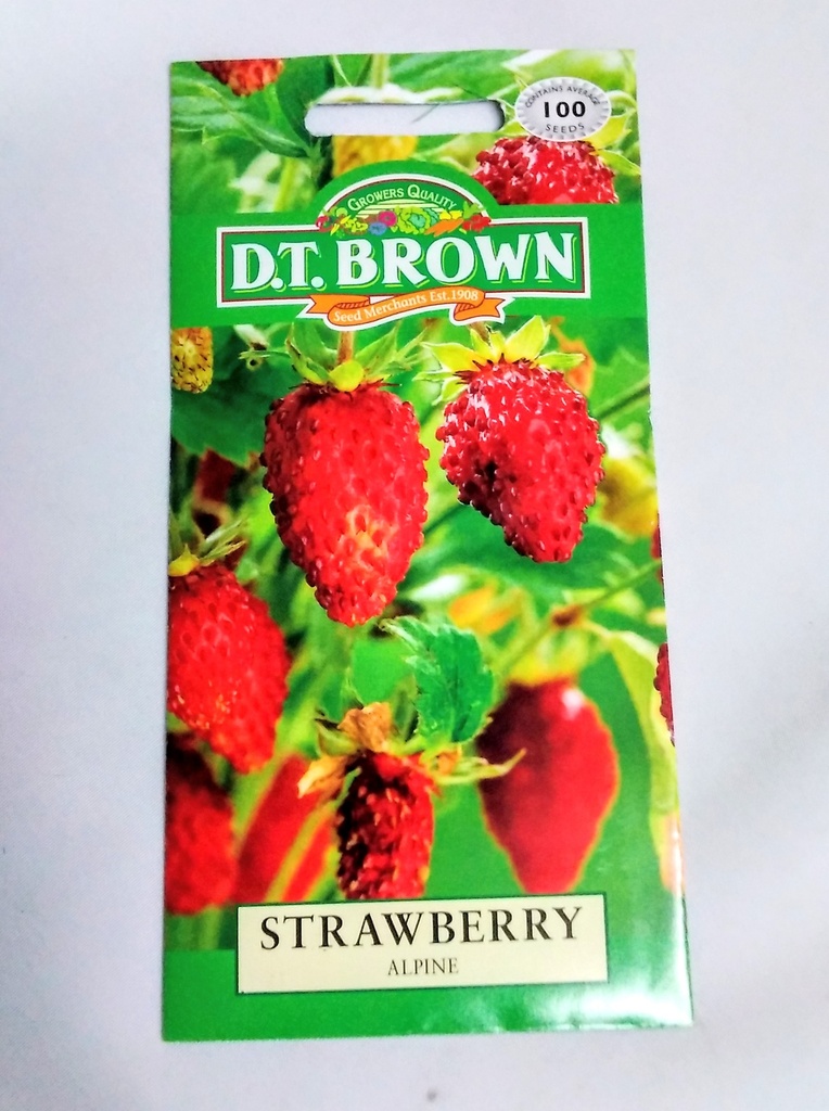  Seed Mr Fothergill'sl Strawberry Alpine(Regina)0.041g #2308