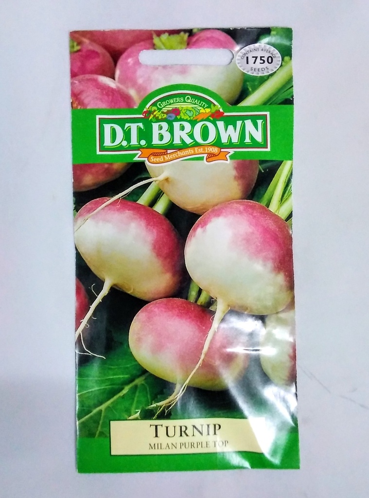  Seed Mr Fothergill'sl Turnip Milan Purple Top 3.331g #2210