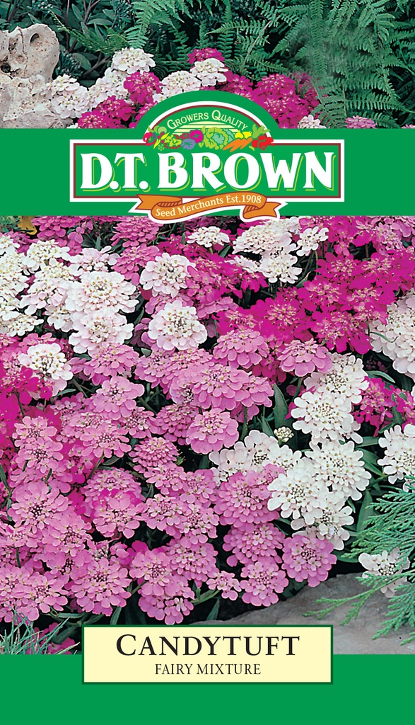[SD0376]  Seed Mr Fothergill'sl Candytuft Fairy Mixure 0.719g #1507