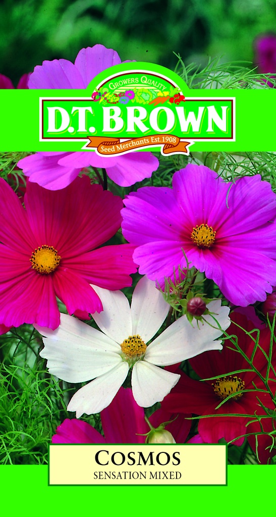  Seed Mr Fothergill'sl Cosmos Sensation1.4g #498