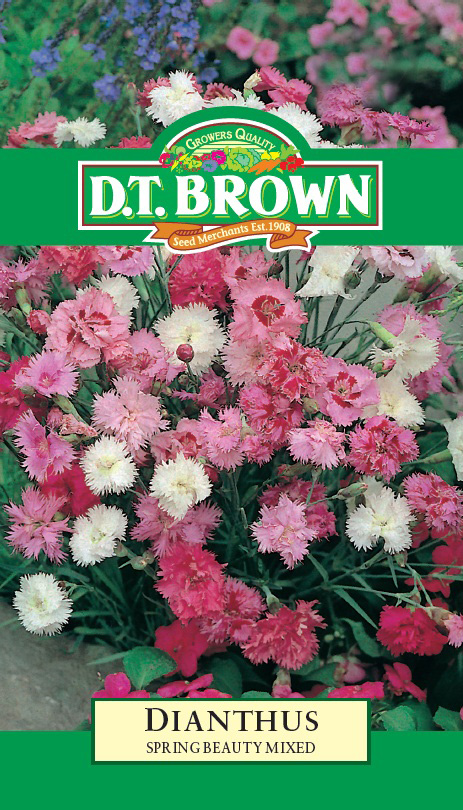 Seed Mr Fothergill'sl Dianthus Spring Beauty 0.175g #155