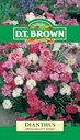  Seed Mr Fothergill'sl Dianthus Spring Beauty 0.175g #155