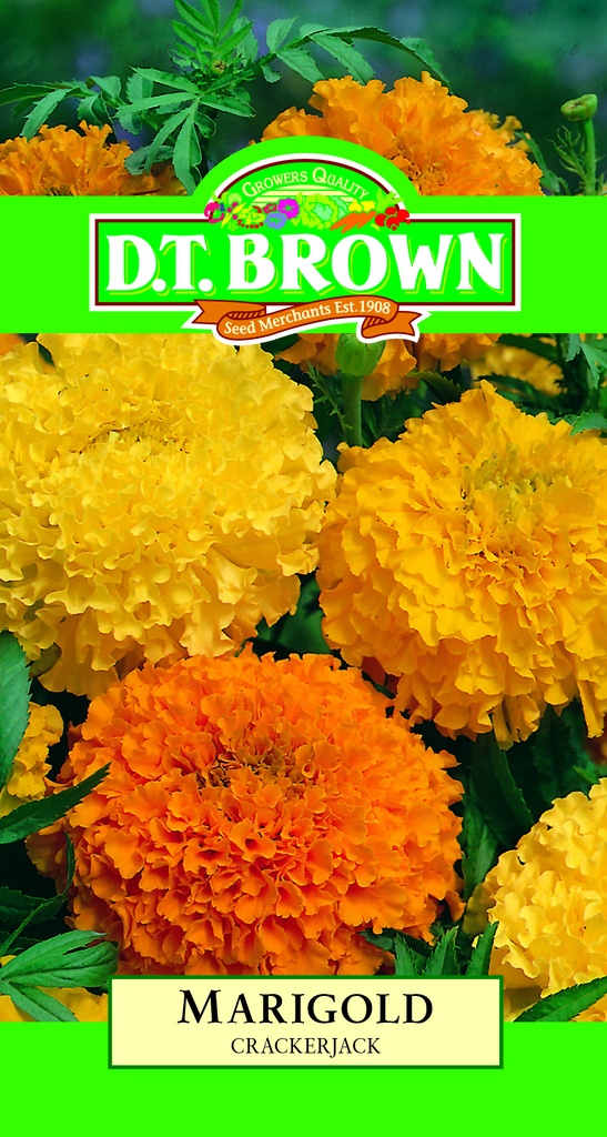  Seed Mr Fothergill'sl Marigold Crackerjack1.078g #489