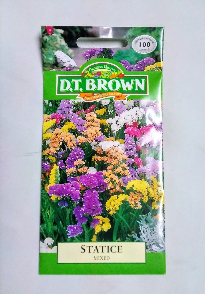Seed Mr Fothergill'sl Statice Mixed 0.284g #492