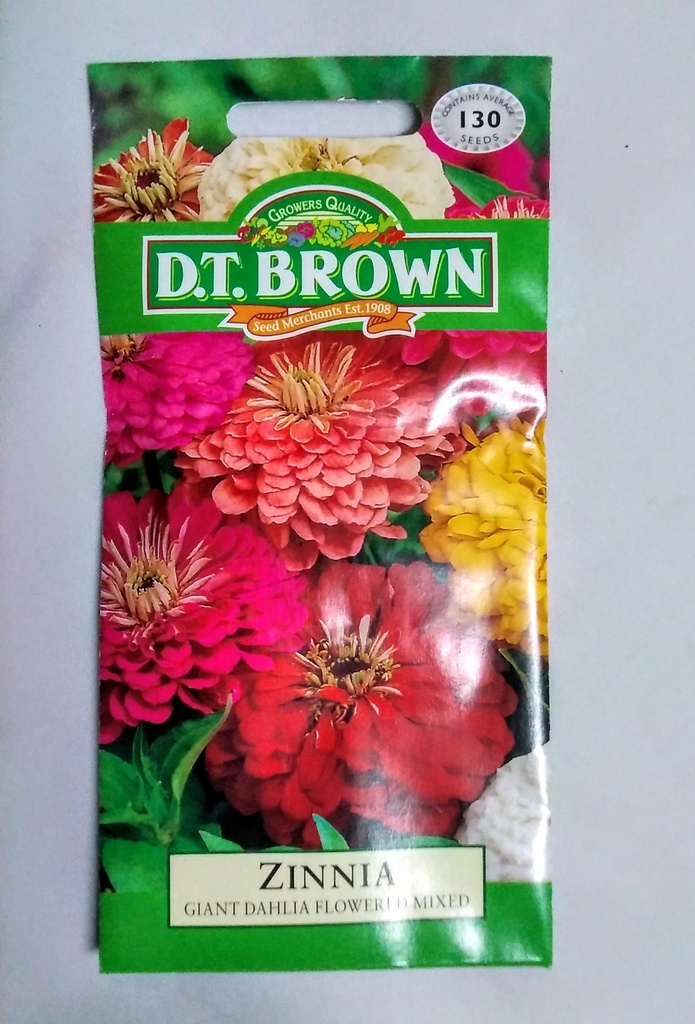  Seed Mr Fothergill'sl Zinnia Giant Dahlia 1.113g #481