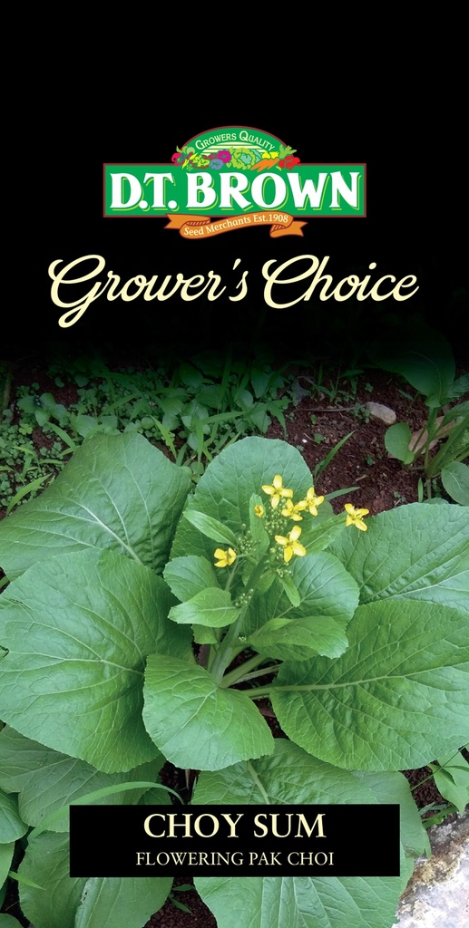 Seed Mr Fothergill'sl Choy Sum'Flowering Pak Choi'0.658g #2324