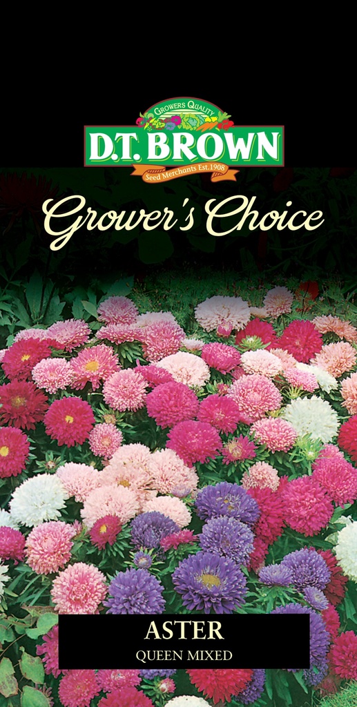  Seed Mr Fothergill'sl Aster Queen Mixd 0.681g #2339