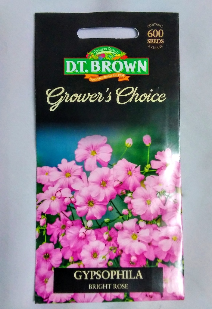  Seed Mr Fothergill'sl Rose Gypsophila Bright 0.305g #2342