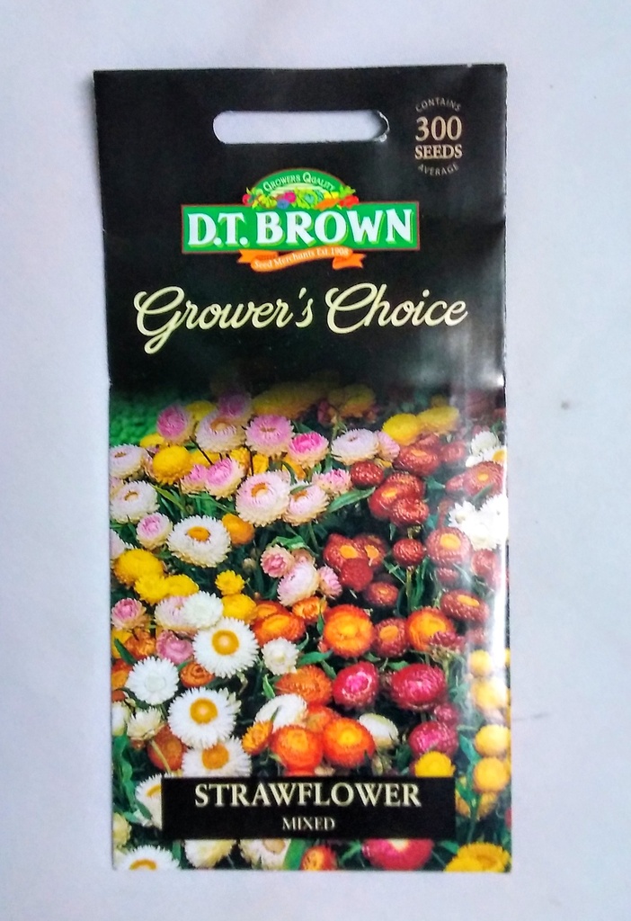 Seed Strawflower Mixed 0.224g MFG2351