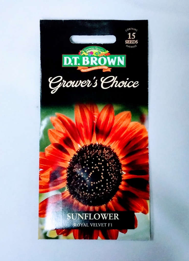  Seed Mr Fothergill'sl Sunflower Royal Velvet 1.25g #2354