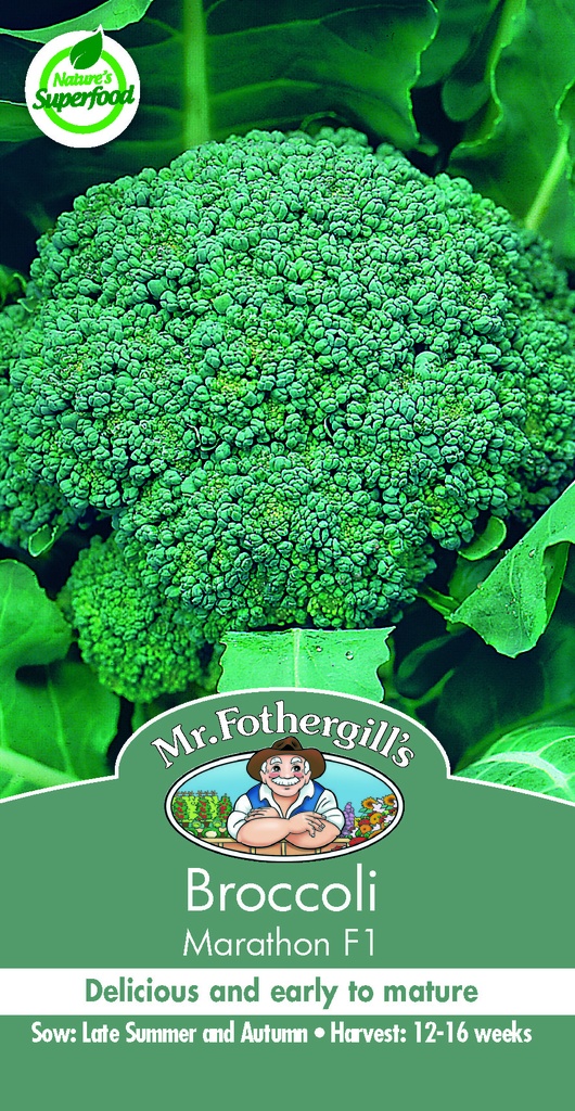 Seed Mr Fothergill'sl Broccoli Marathon F1 0.277g #5339