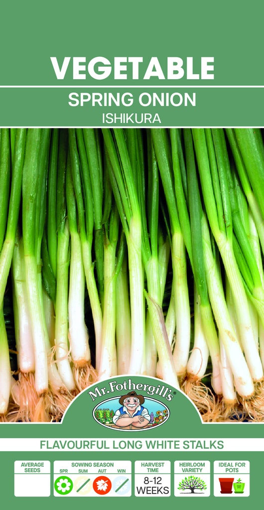 Seed Onion S/Bunch Ish.1.216g MFG5726