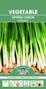  Seed Mr Fothergill'sl Onion S/Bunch Ish.1.216g #5726