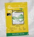 Seed Terranova Cabbage Chinese Plenty F1 10G 