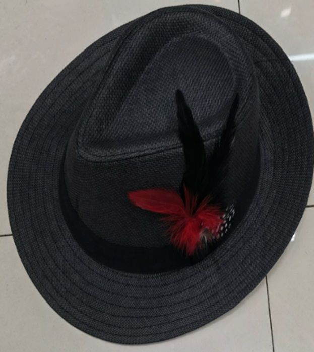 Hat Floppy W/ Feather 35409-3